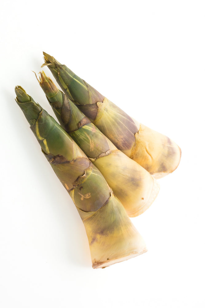 Bamboo Shoots