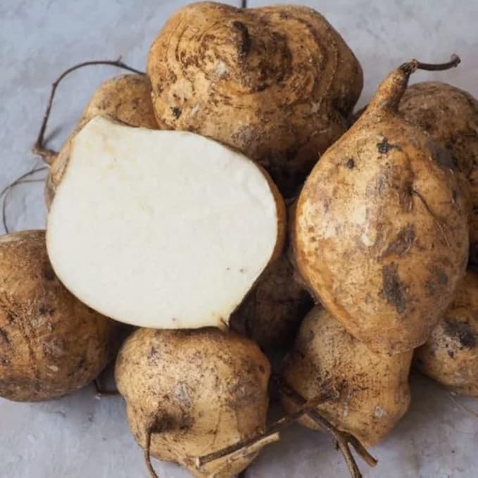 Jicama