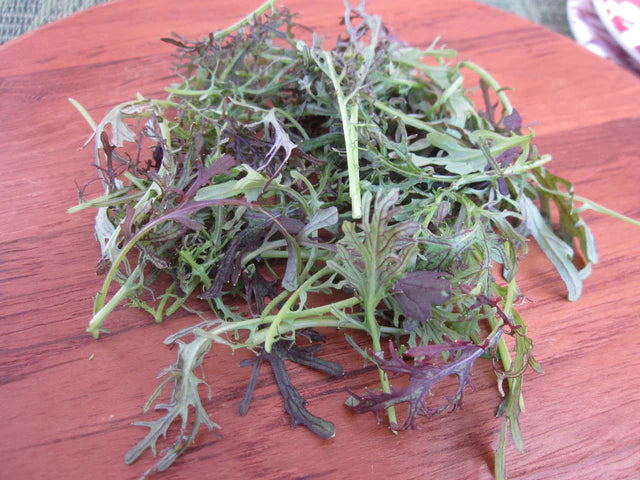 Petite Red Mustard
