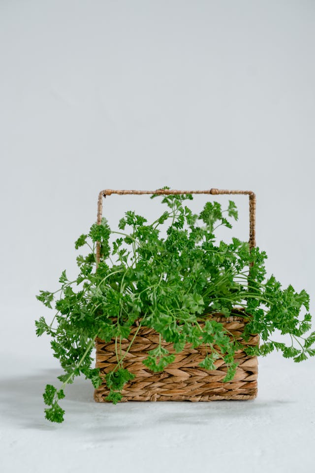 Parsley