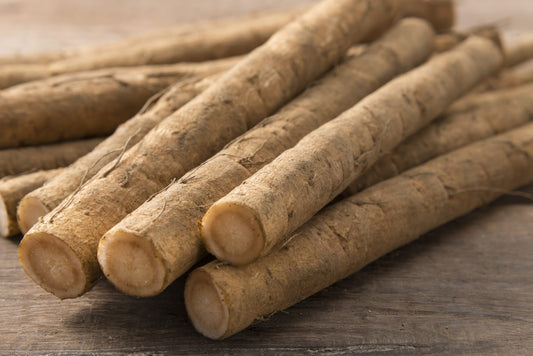 Burdock Root