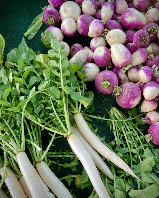 Daikon
