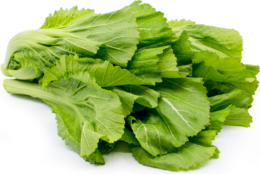 Gai Choy