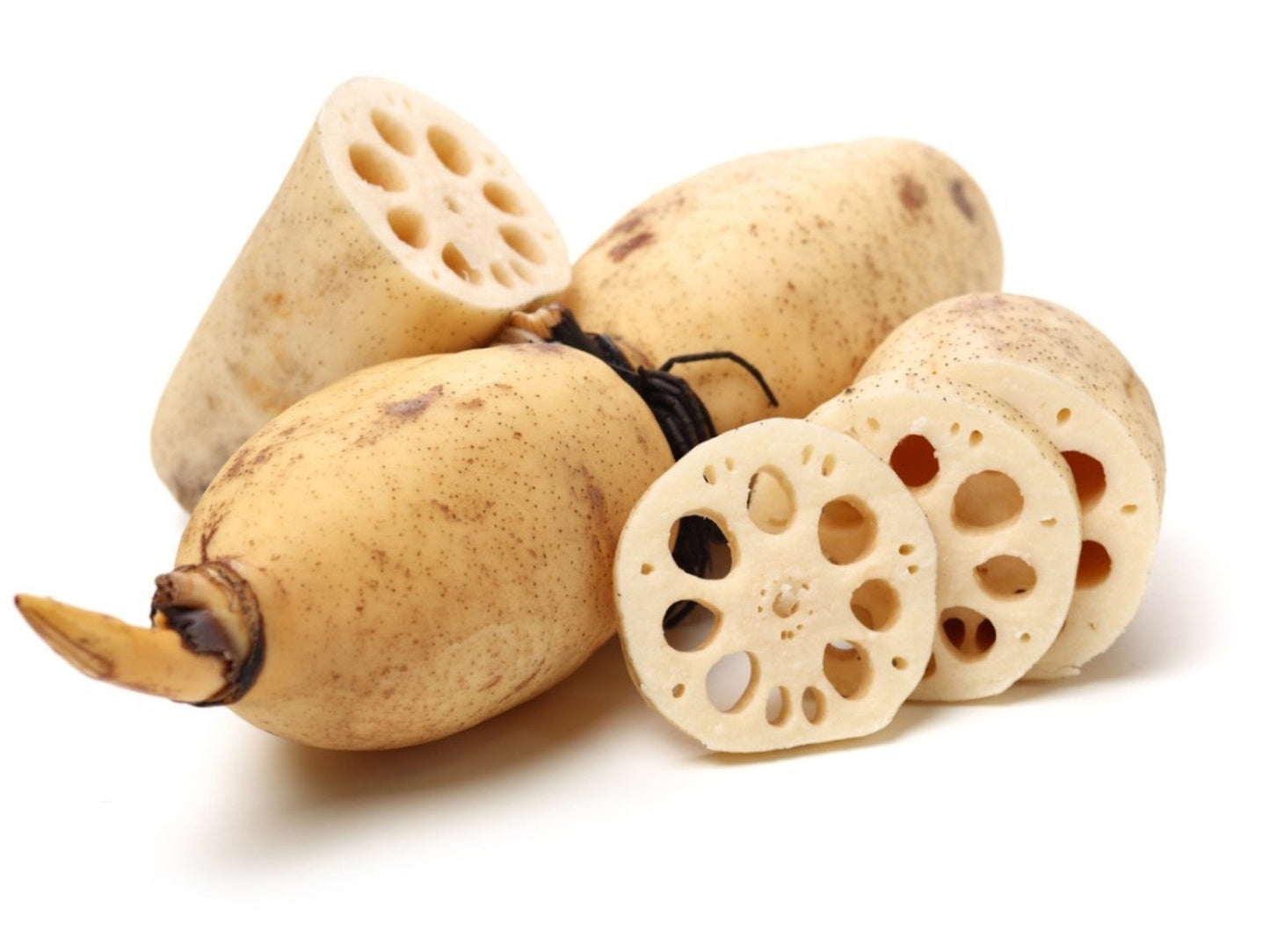 Lotus Root