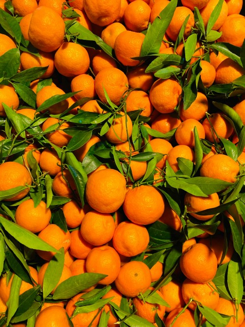 Mandarins