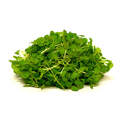 Micro Mint