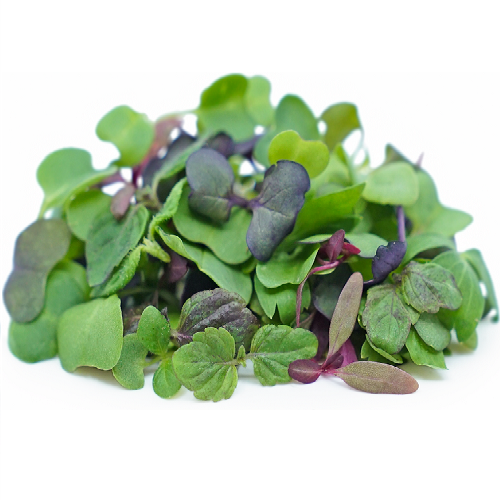 Micro Intensity Mix