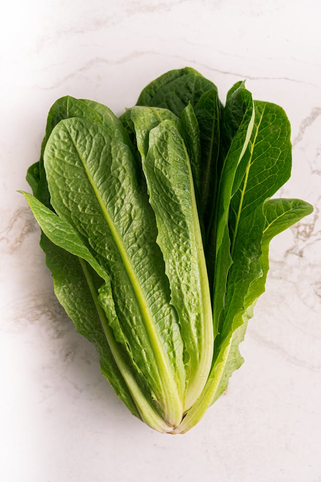 Romaine