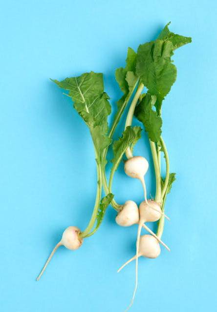 TURNIPS white