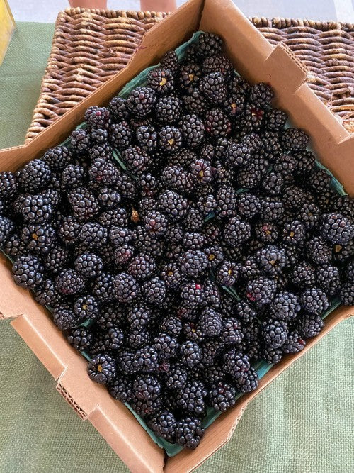 Blackberries