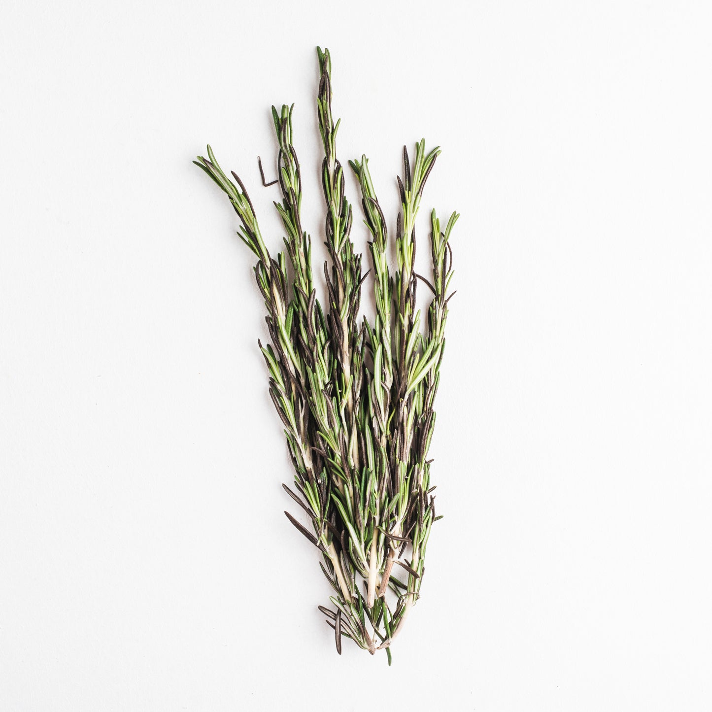 Rosemary