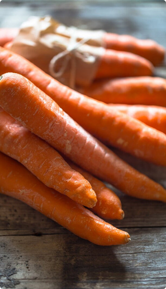 Carrot