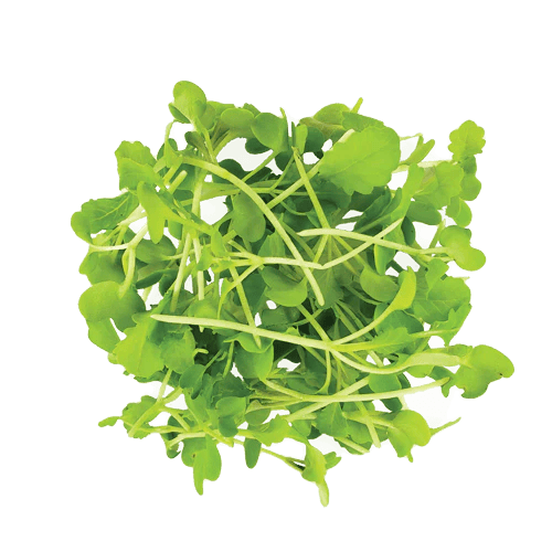 Micro Wasabi