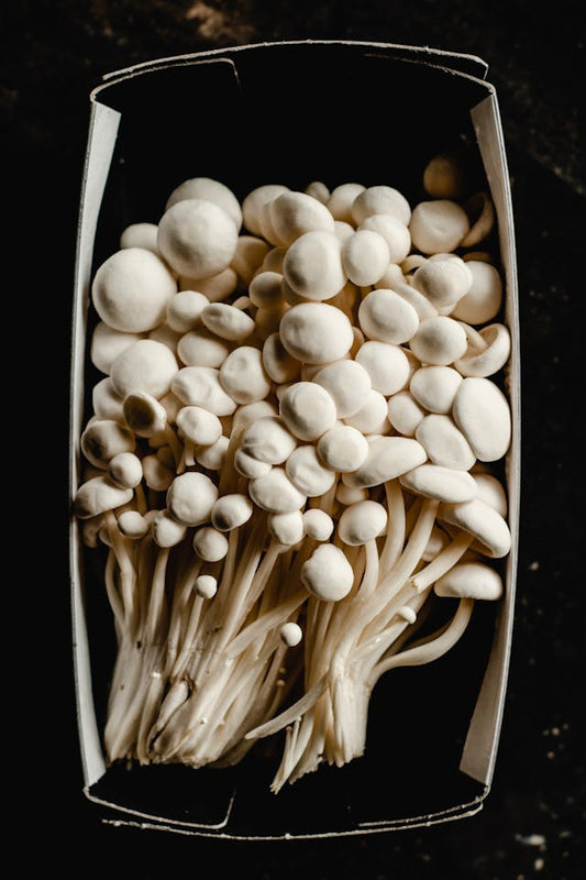 Mushrooms
