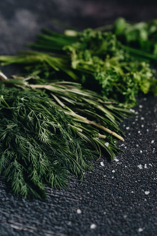 Dill