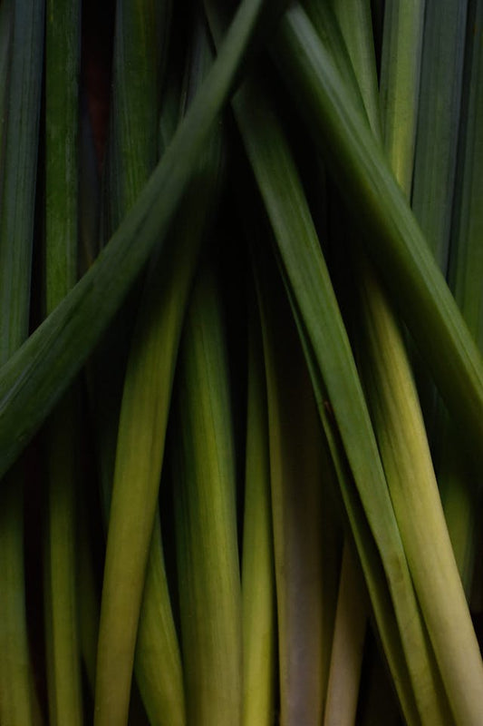 Lemon Grass
