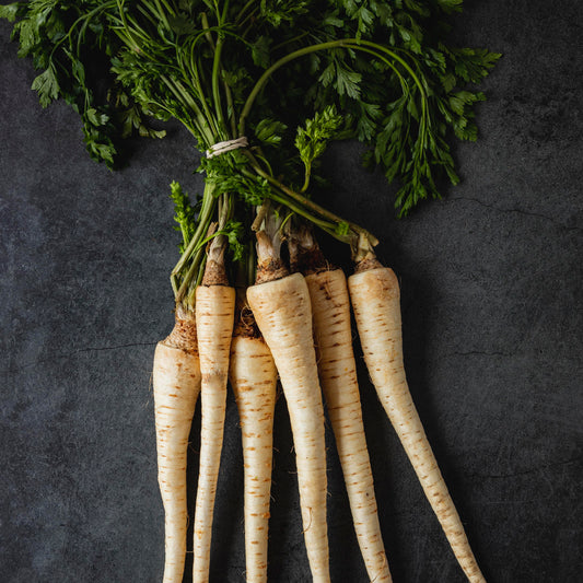Horseradish