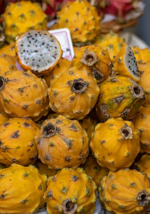 Pitahaya (Yellow dragon fruit)