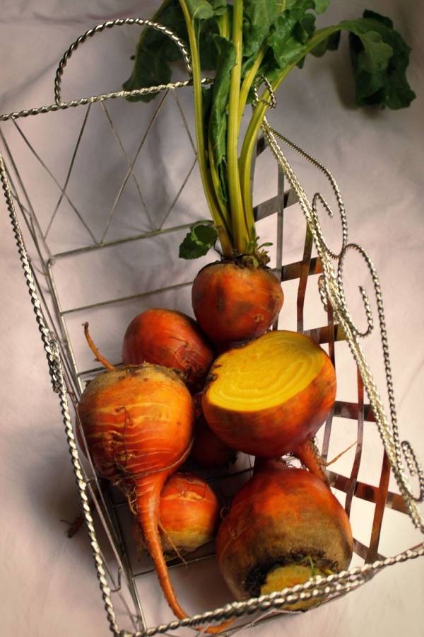 Yellow turnips